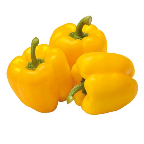 Bell Peppers Yellow (Single)
