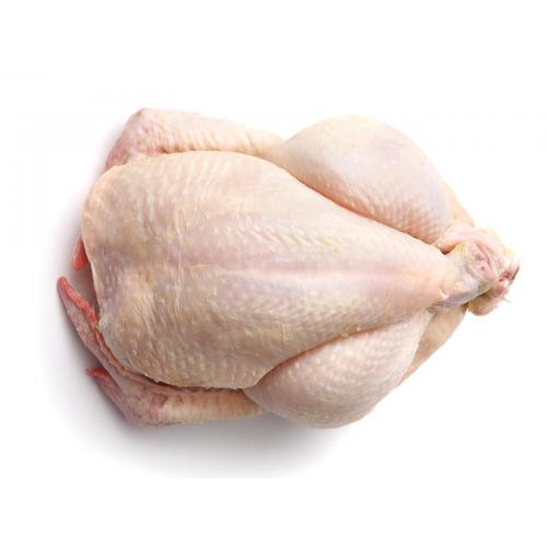 Chicken Whole, Skin On (Single appro.1.5kg）