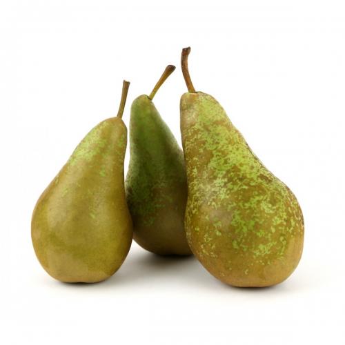 Pear - Conference (4)