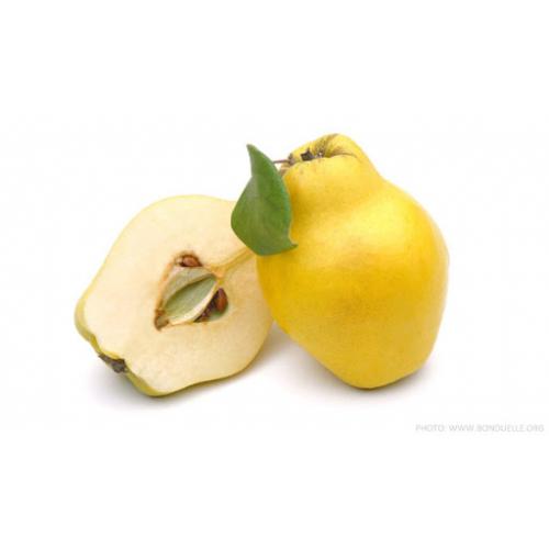 Quince (Single)