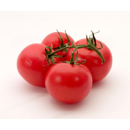 Tomatoes - Vine (1kg)