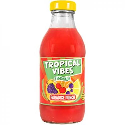Tropical Vibes Paradise Punch 300ml