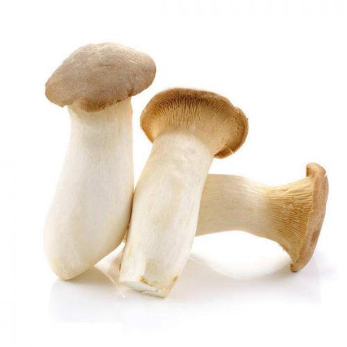 Mushrooms Trumpet/Eryngii (200g)