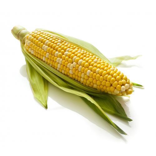 Sweet corn Fresh (Single)