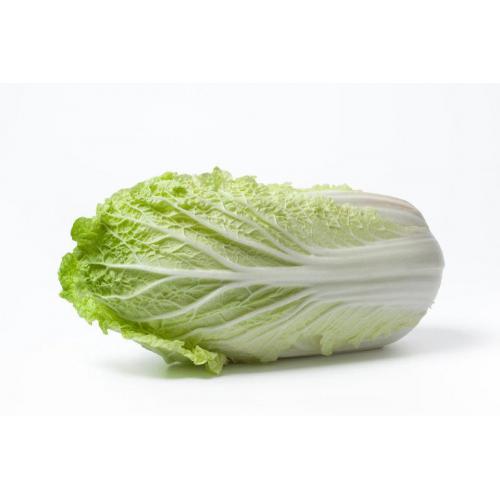 Cabbage Chinese Leaf (Single)