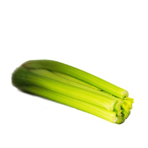 Celery Short (Bunch)