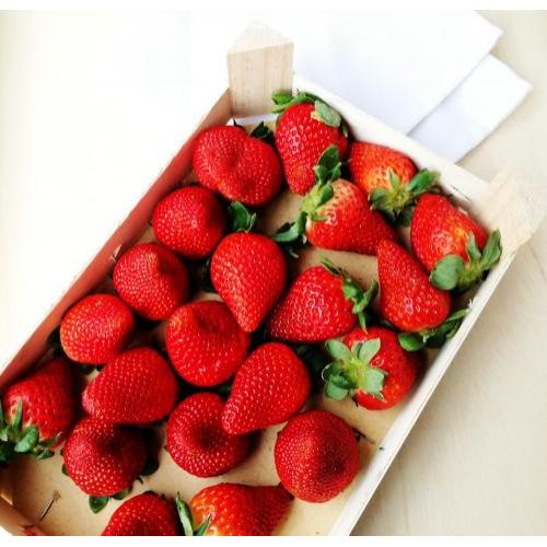 Strawberries (500g)