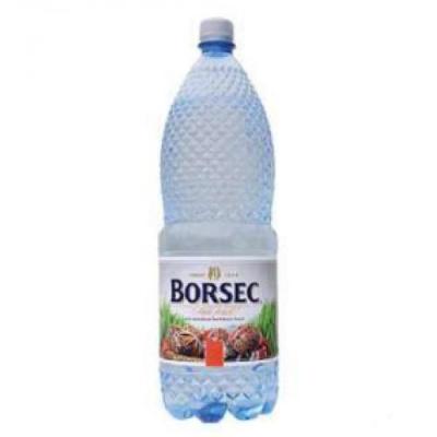 Borsec Water 2L
