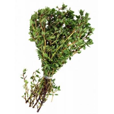 Thyme (Bunch)