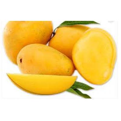 Mango - Gold (5 Pack)