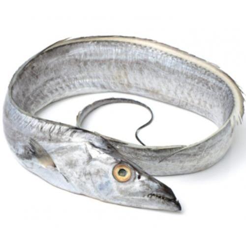 Ribbonfish (500g)