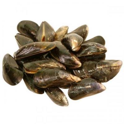 Mussels (Per kg)