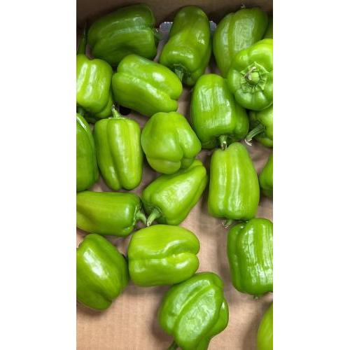Peppers Turkish Dolma (250g)